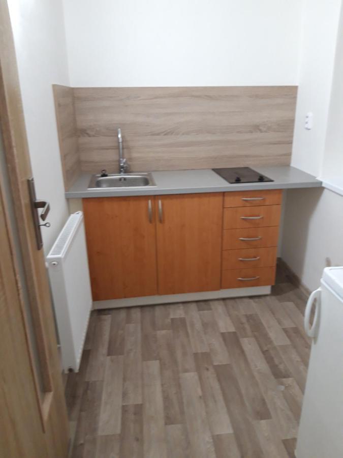 Apartman Plasy Extérieur photo